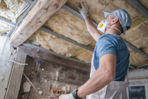 Best Specialty Insulation in Mingo Junction, OH